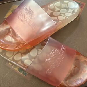 Coach Orange Transparent Slides